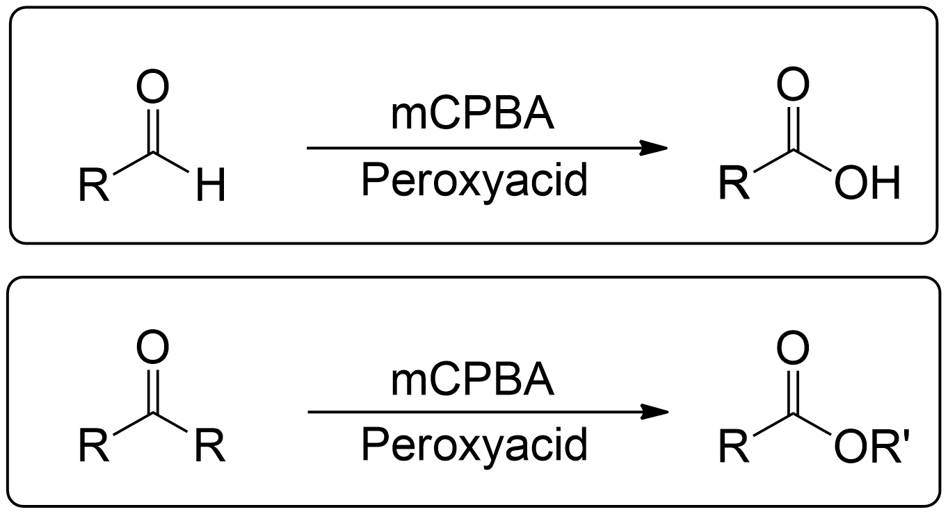 Baeyer-Villiger Oxidation