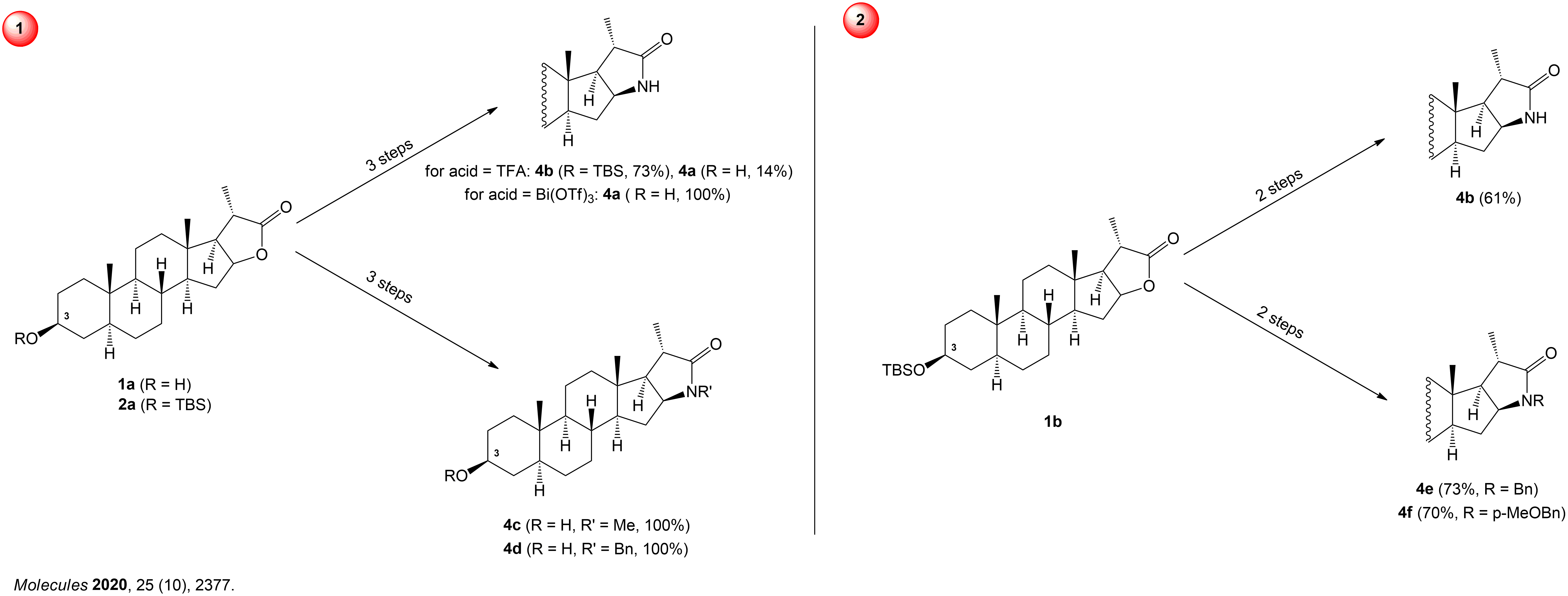 Scheme one represents the synthesis of bisnorcholanic lactam derivatives via oxo‐amide intermediates. Scheme two represents the synthesis of bisnorcholanic lactam derivatives via an oxo‐acid intermediate.