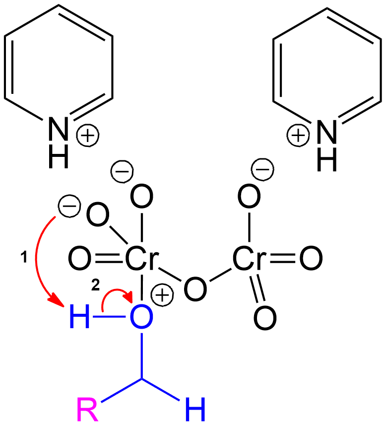 The newly formed intermediate is protonated to set up the intermediate for further atom rearrangement.