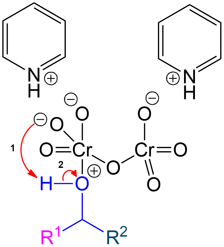 The newly formed intermediate is protonated to set up the intermediate for further atom rearrangement.