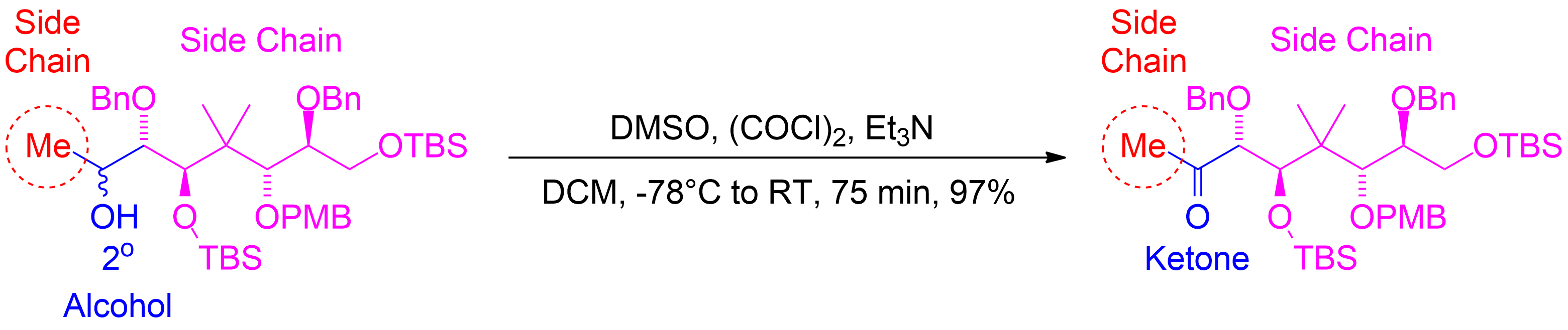 Be careful when assigning side chain placeholders. If you do not see a side chain visible that is not denoted by H or another group. Assume its a Methyl group. In the example, it was not shown, however for group tracking we have shown it in red.